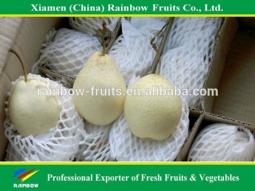 Ya Pear supplier, Asian Pear, Fresh Pear from China