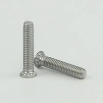 Stainless Steel Screws FHS M3 15 PS