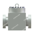 Swing Check Valve