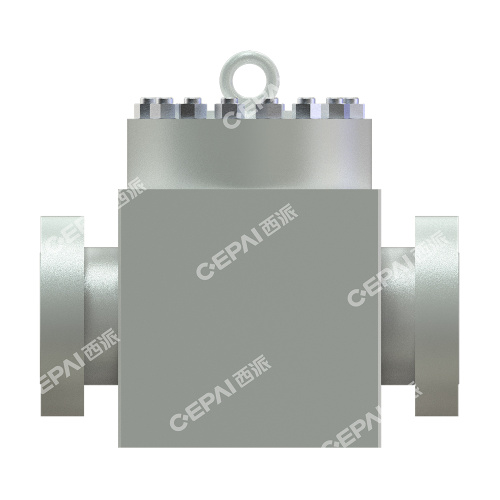 Swing check valve