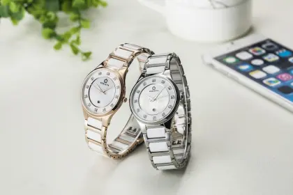 Stainless steel ceramic women watches