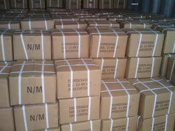 polished common nails / galvanized common nails