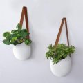 Unglazed Ceramic Air Plant Holder Indoor