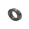 DW 6000-Z high temperature bearing for Steel