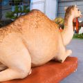 Dijual Patung Unta Ukuran Hidup 3m