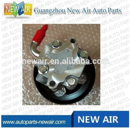 92174214 Power Steering Pump for GM Holden Commodore VE