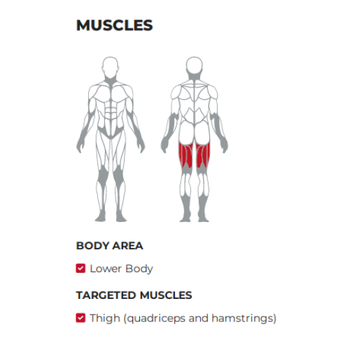 alternate leg curling gym fitness machine plate loaded