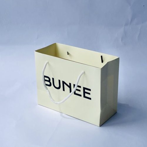 Shopping Paper Bags with Custom Logo and Ribbon