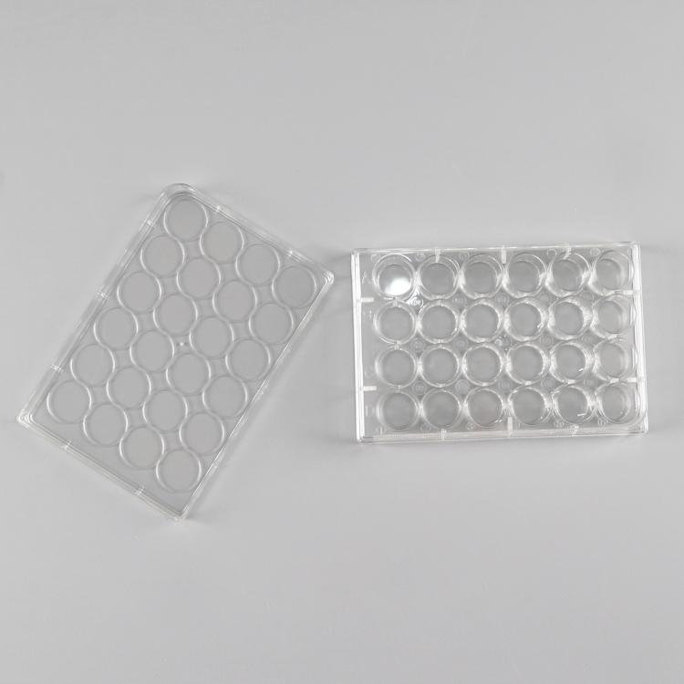 24 Well Cell Culture Plate