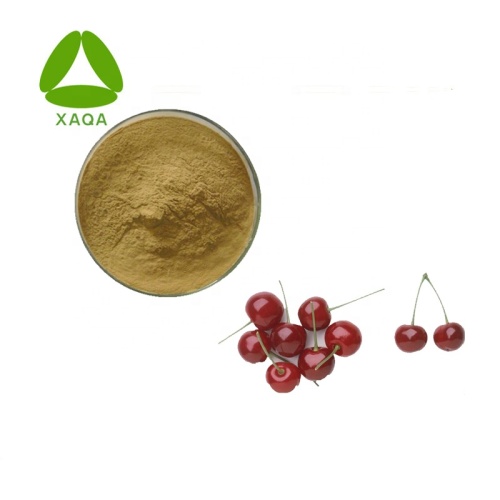Amarelle Prunus Cerasus Sour Cherry Extract Powder