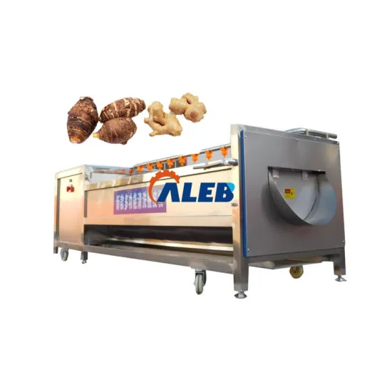 Professional Kitchen Cleaning Machines for Various Food Ingredients