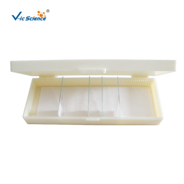 Contenitore in plastica per vetrini da microscopio