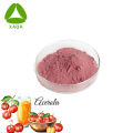 Organic Supplement Acerola Cherry Extract Vitamin C Powder