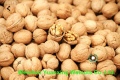 Harga kilang walnut kernel kepingan warna cahaya