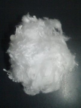 hydrophilic PP staple fiber for hygienic use