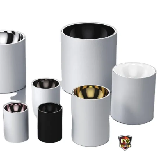 30W Modern IP65 Waterproof LED Downlight