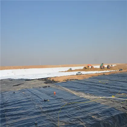 Composite Geomembrane for Artificial Wetland