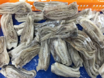 Frozen Cleaned Squid Tentacles