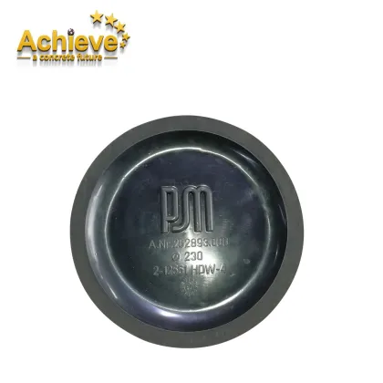 Concrete Pump Piston Parts: DN180, DN200, DN230 Schwing Pump Truck Components