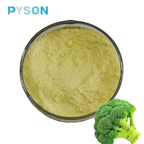 Extrait naturel de brocoli Poudre de sulforaphane