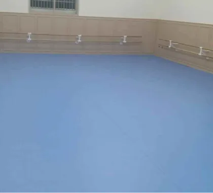 Enlio Indoor PVC Sports Flooring Dance Room