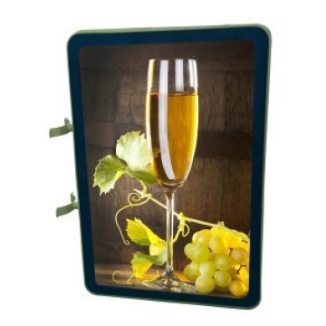 Waterproof Outdoor LED Rectangle Light Box