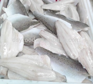Frozen Seabass fillet (Lateolabrax japonicus)