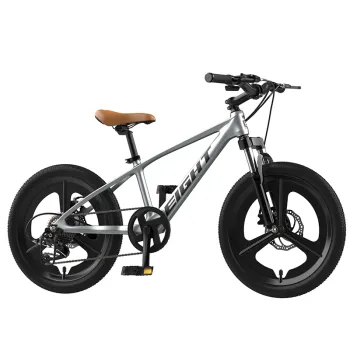 Gift Children's Bicycles: A Comprehensive Guide for 12, 14, 16, 18, and 20 Inch BMX Kids Bikes Suitable for Boys and Girls Aged 5 to 12 Years