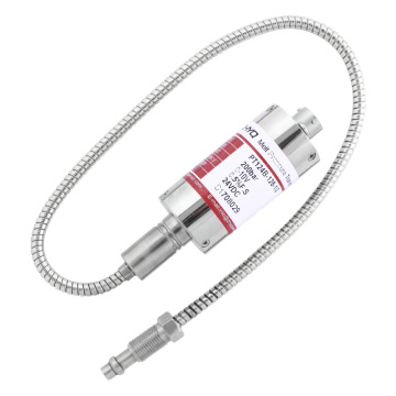 Stainless Steel Capillary Tube Melt Pressure Transmitter