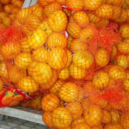 Nanfeng Baby Mandarin Fruits