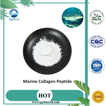 Supply Pure Marine Collagen Peptide Powder
