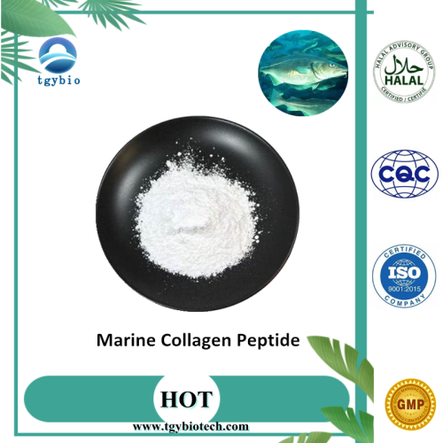 China Supply Pure Marine Collagen Peptide Powder Supplier