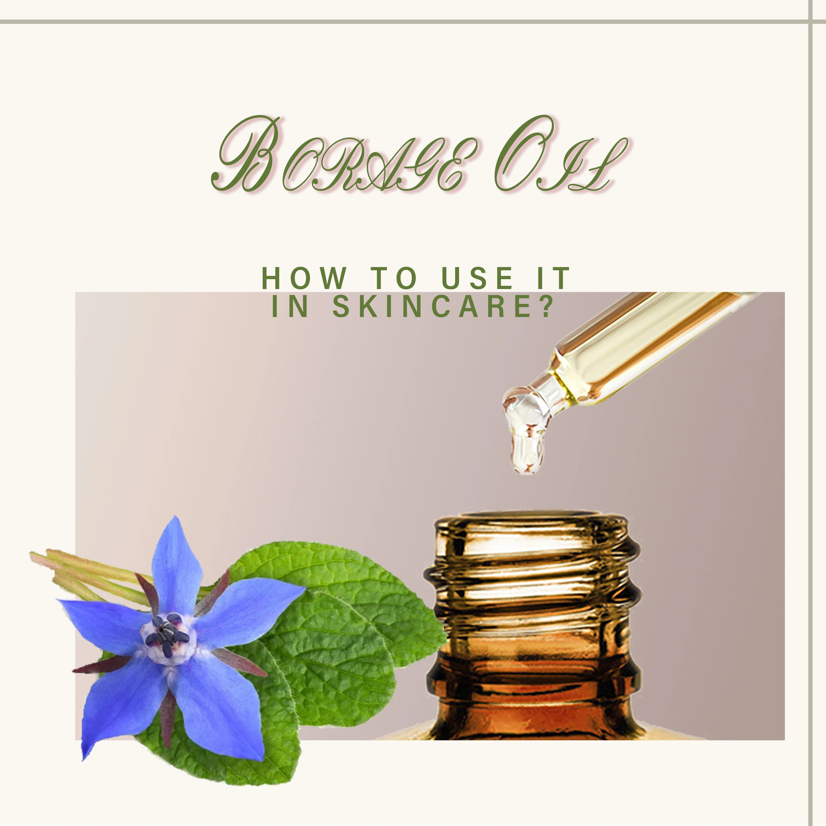 Eucalyptus Oil