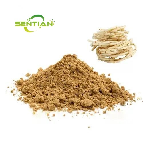 Wholesale Organic Houttuynia Cordata Extract Powder
