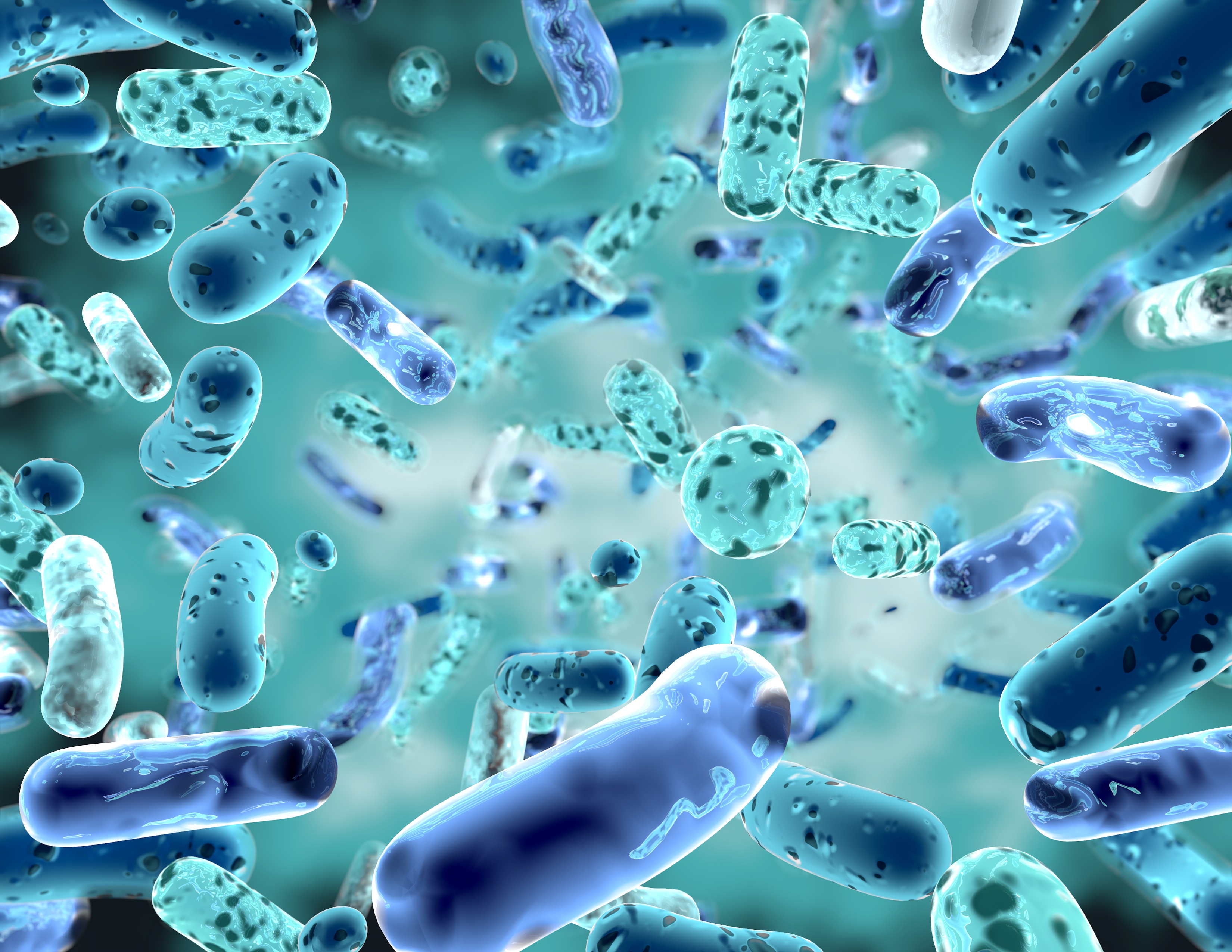 Probiotics