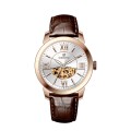 Montres masculines automatiques de cristal saphir