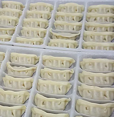 Industrial dumpling wonton empanada siaomai machine