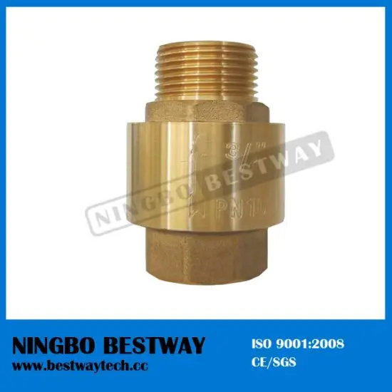 Brass Male Female vertical spring check valve with plastic brass core
