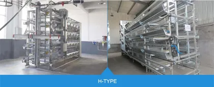 H Type Chicken Equipment