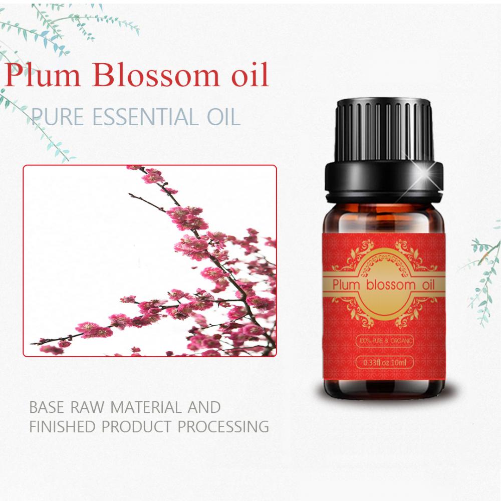 Private label plum blossom oil for skin care