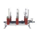 Interruptor de interrupción de carga de la serie FN de lbs fn 12kV