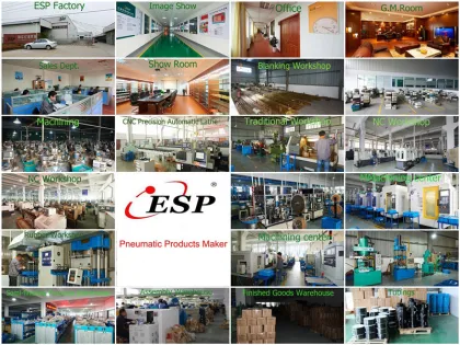 AR Series Air Regulator AR2000