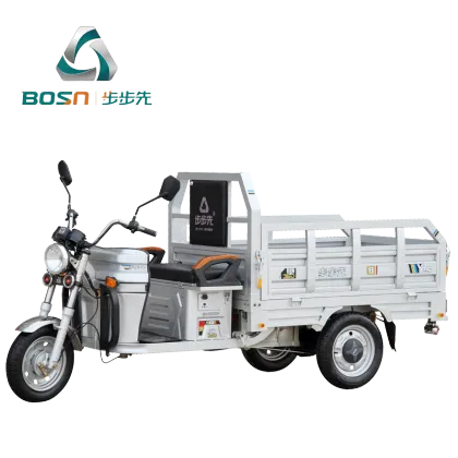 1000w motor electric cargo tricycle