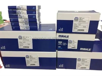 Shanghai MAHLE Piston Rings for 6CT8.3 6D107 6D102 Engines