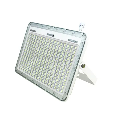 Funan Techo Canal Outdoor LED Solar Floodlights