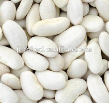 White kidney beans Shanxi Origin
