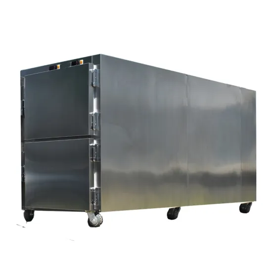 Hospital Medical Mortuary Freezer Two Corpse Body freezer Instrumnets