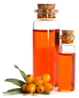 Plant Essential Oil sea buckthorn seed oil