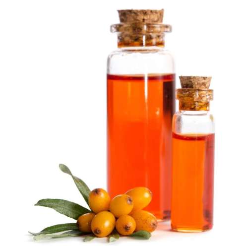 Plant Essential Oil sea buckthorn seed oil