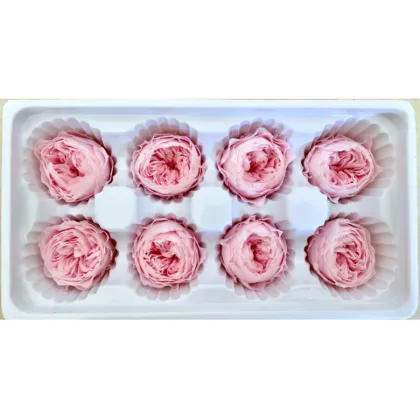 Chinese Preserved Peony Flowers